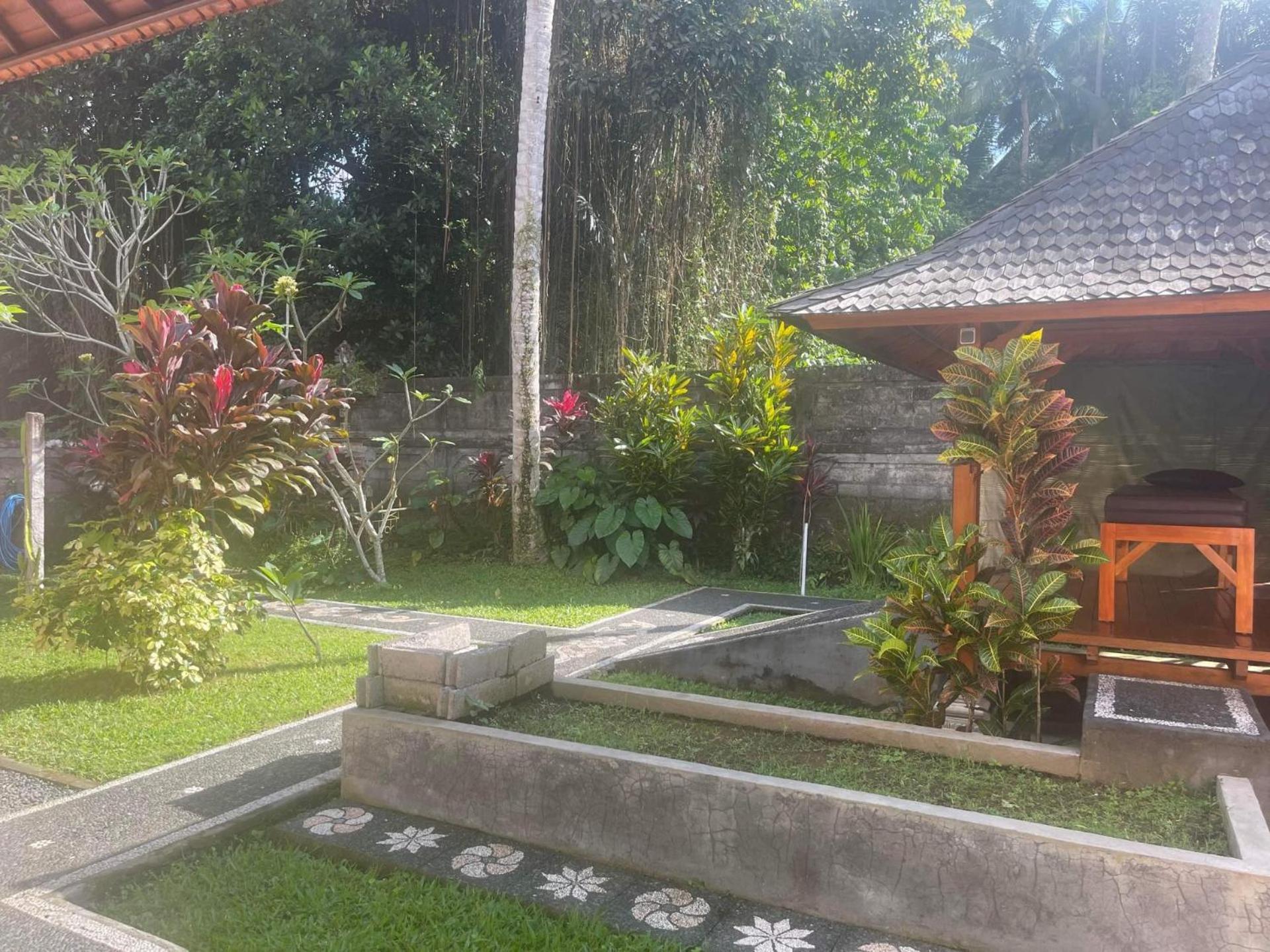 Our Bali Homestay Ubud Extérieur photo